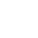 raven